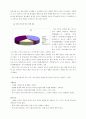 [마케팅] SM엔터테인먼트의 아시아시장 진출 분석 - 중국 및 일본 시장을 중심으로 18페이지