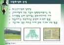 수원화성을 다녀와서 5페이지