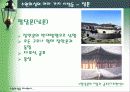 수원화성을 다녀와서 9페이지