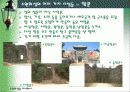 수원화성을 다녀와서 11페이지