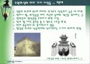 수원화성을 다녀와서 20페이지