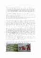 [마케팅] 박지성의 맨체스터 유나이티드 SWOT 분석 2페이지