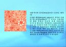 미술 공예 운동 11페이지