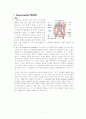 Diverticulitis(게실염) 1페이지
