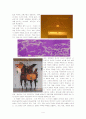 The 6th Gwangju Biennale 2006 4페이지