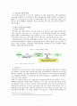 [행정 정부규제론]신용카드 발급 관련 규제 - 신용카드사의 입장에서 13페이지