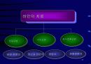 비만과 운동 15페이지