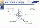 삼성그룹 토털 커뮤니케이션 전략 21페이지