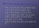 체육수업모형 - 스포츠교육 모형 5페이지