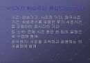 체육수업모형 - 스포츠교육 모형 7페이지