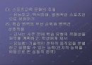 체육수업모형 - 스포츠교육 모형 13페이지