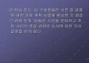 체육수업모형 - 스포츠교육 모형 19페이지