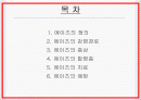 AIDS - 후천성 면역 결핍 증후군 2페이지