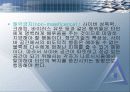 정보화 사회의 윤리 6페이지