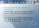 정보화 사회의 윤리 11페이지