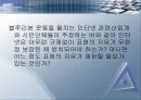 정보화 사회의 윤리 12페이지