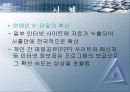 정보화 사회의 윤리 18페이지