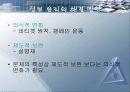 정보화 사회의 윤리 22페이지