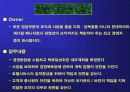 호텔리어에 대해 5페이지