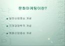 e-Biz시대의 문화마케팅 3페이지