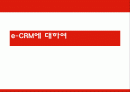 e-CRM에 대하여 1페이지