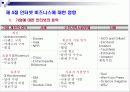 인터넷 마케팅의 이론과 실제 13페이지