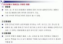 인터넷 마케팅의 이론과 실제 98페이지