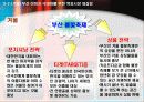 부산 지역 축제의 활성화 방안을 통한 부산 지역 이미지 극대화 전략 24페이지