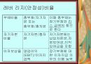 경영분석 10페이지