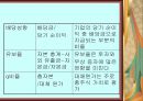 경영분석 16페이지