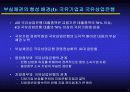 중국의 부실채권시장과 기업구조조정 5페이지