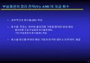 중국의 부실채권시장과 기업구조조정 11페이지