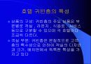 호텔 비즈니스 룸의 특징 6페이지