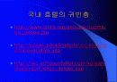 호텔 비즈니스 룸의 특징 13페이지