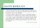 도시열섬현상 5페이지