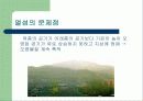 도시열섬현상 10페이지
