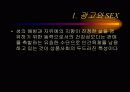 광고속에 나타난 기발한 성적 상상력 3페이지