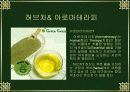 웰빙    (Well Being) 15페이지