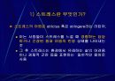 정신건강에 대한 이해 16페이지