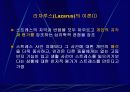 정신건강에 대한 이해 20페이지