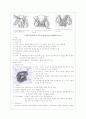 자궁내막증 (endometriosis) 6페이지