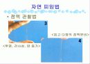 피임 선택이 아니라 필수입니다 (파워포인트) 8페이지