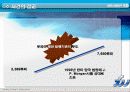 [재무] 다이아몬드펀드 분석 5페이지