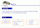 은평 뉴 타운 조성에 따른 환경영향평가 2페이지