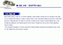 은평 뉴 타운 조성에 따른 환경영향평가 14페이지