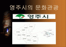 영주시의 관광정책 1페이지