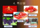 영주시의 관광정책 8페이지