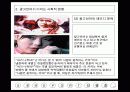 광고언어가 사회에 미치는 영향 12페이지