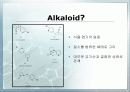 [예비][발표] 카페인의 추출 4페이지