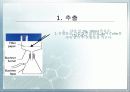 [예비][발표] 카페인의 추출 8페이지